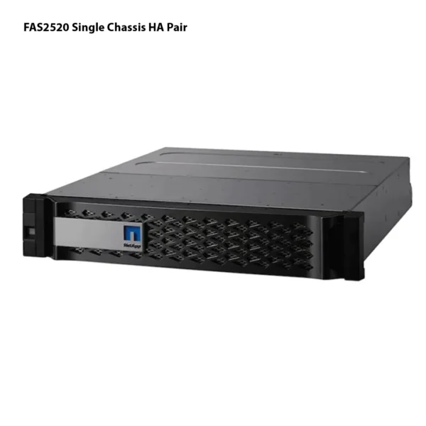 Storage NetApp FAS2520HA